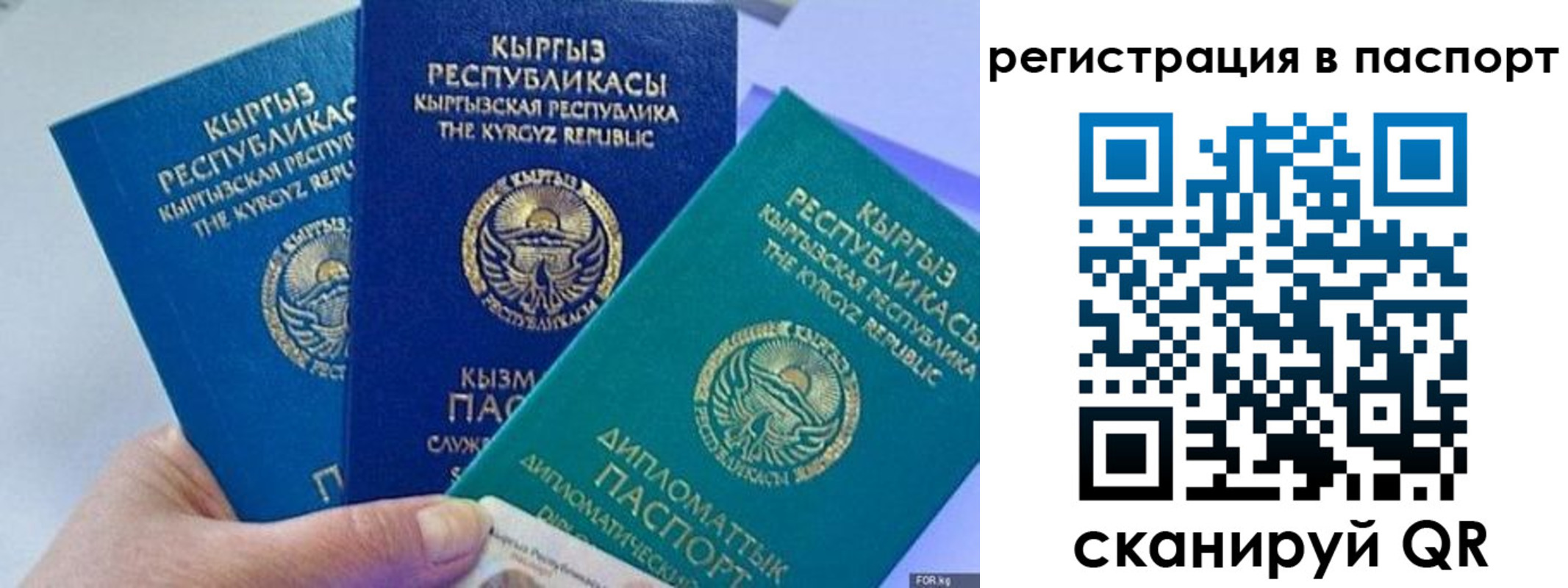 прописка 2025 в Егорьевске